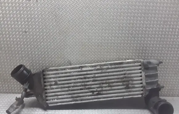 Peugeot 807 Intercooler radiator 870229HF