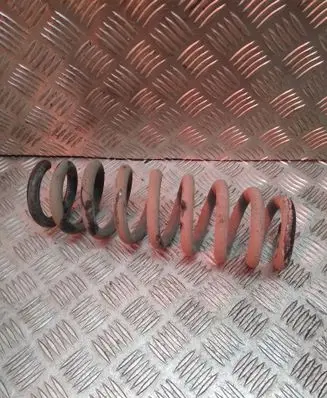 Rear coil spring
