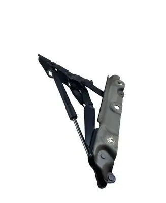 Jaguar XF X250 Engine bonnet/hood hinges