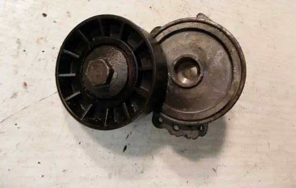 Citroen C5 Belt tensioner pulley APV1030