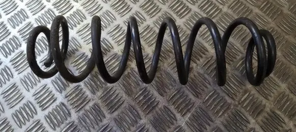 Rear coil spring