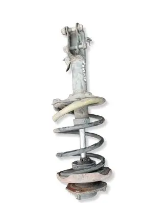 Nissan Almera Tino Front shock absorber with coil spring 0000