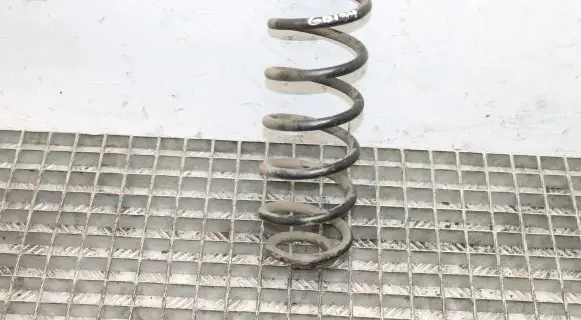 Volkswagen Tiguan Rear coil spring