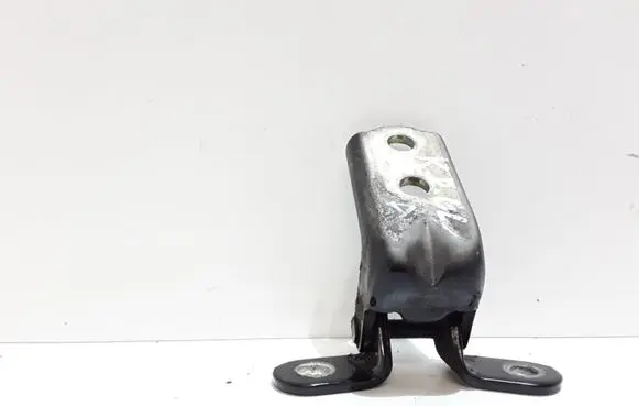 Hyundai Santa Fe Rear door lower hinge