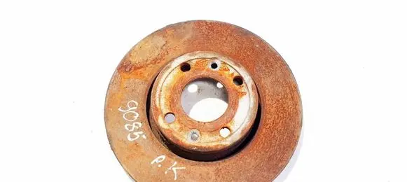 Renault Zoe Front brake disc ventiliuojamas