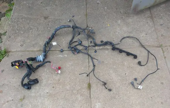 Engine installation wiring loom