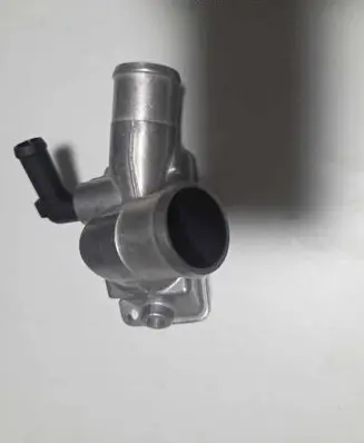 Thermostat/thermostat housing