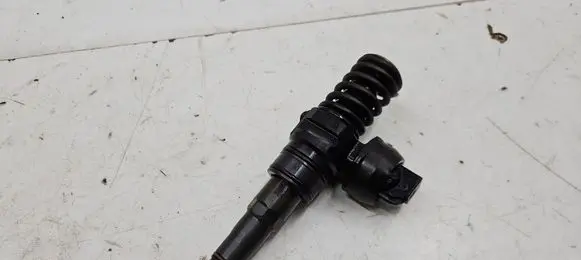 Volkswagen PASSAT B6 Fuel injector 038130073BQ