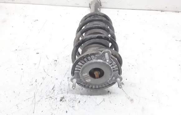 Peugeot 407 Front shock absorber with coil spring