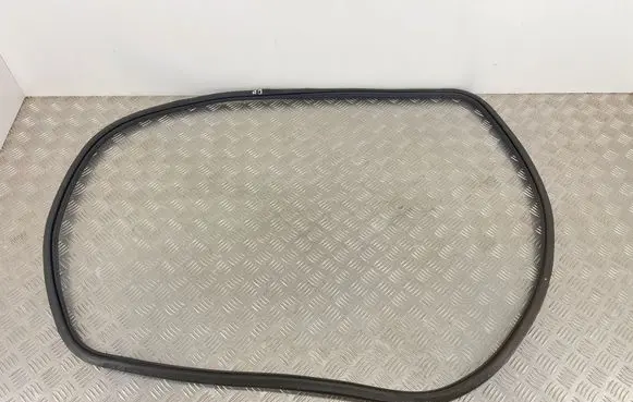 Audi Q3 F3 Front door rubber seal 