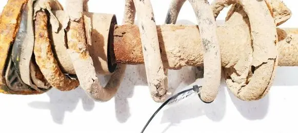 Honda CR-V Rear coil spring