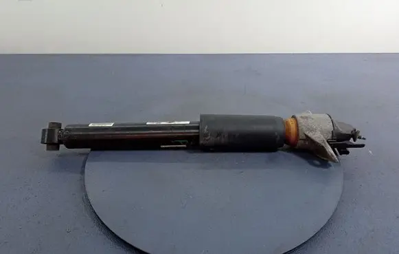 Audi Q7 4M Rear shock absorber/damper 4M0513021BL
