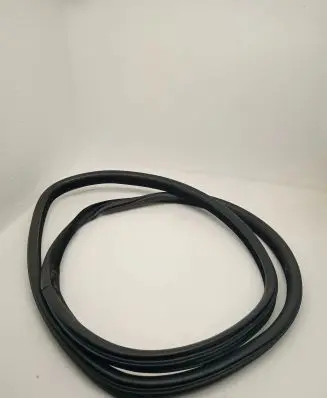 BMW X6 F16 Rear door rubber seal (on body) 7317822