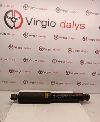 Chevrolet Captiva Rear shock absorber/damper 20324216
