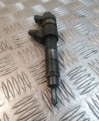 Peugeot Boxer Fuel injector 0455120002
