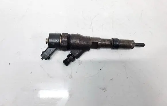 Peugeot 406 Fuel injector 0445110008 9635196580
