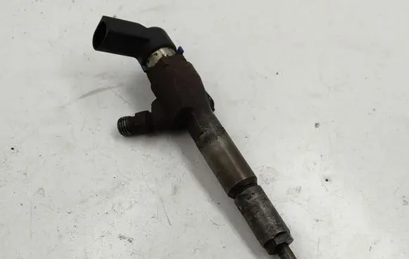 Ford Transit - Tourneo Connect Fuel injector 7T1Q9F593AB 11320