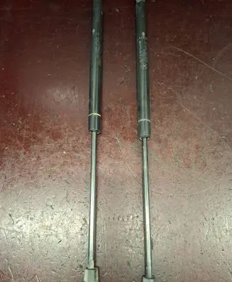 Tailgate/trunk strut/damper