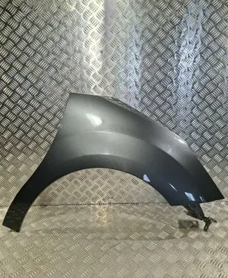Citroen DS3 Fender