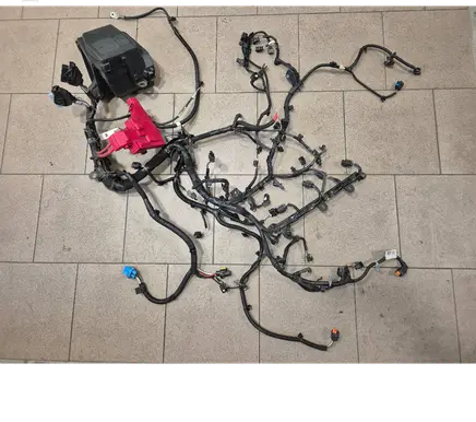 Dacia Duster II Engine installation wiring loom 243829068R