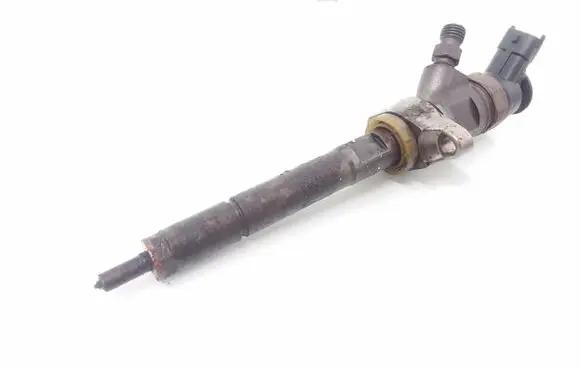 Citroen Berlingo Fuel injector 0445110297