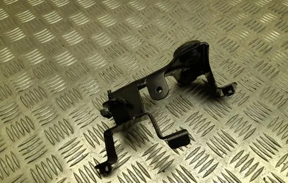 Nissan Juke II F16 EGR valve cooler bracket 165887253R