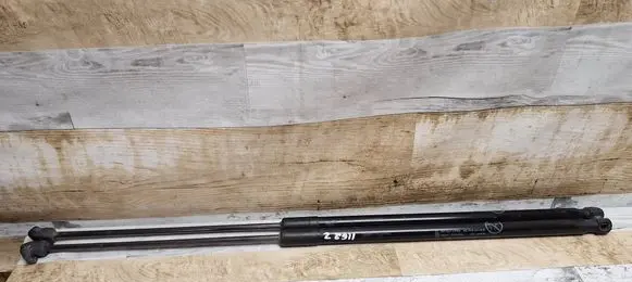 Tailgate/trunk strut/damper