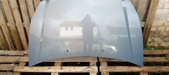 Engine bonnet/hood