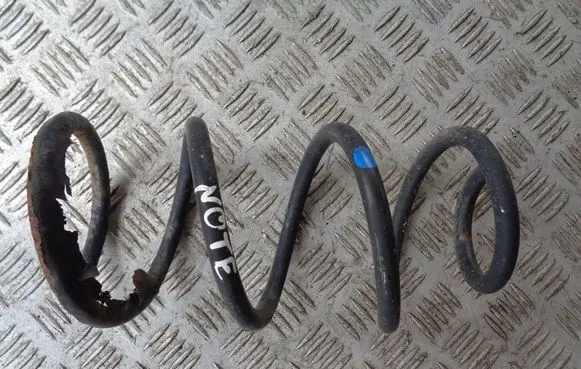 Rear coil spring