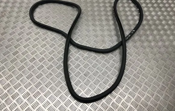 Chrysler Pacifica Rubber seal rear door 