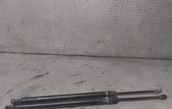 Renault Modus Tailgate/trunk strut/damper 8200219322