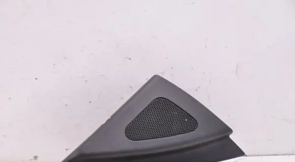 Hyundai i30 Front door speaker 876602L020