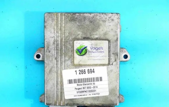 Peugeot 807 LP gas control unit module E1310R-020775 IMPRK1266694