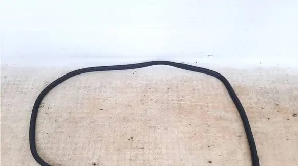 BMW X4 G02 Rear door rubber seal (on body) 7416517