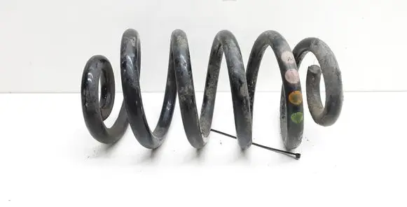 Rear coil spring