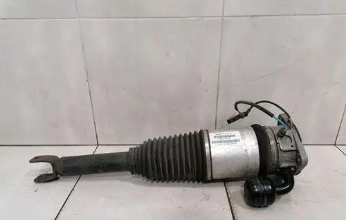 Bentley Continental Rear shock absorber with coil spring 3W0616002C