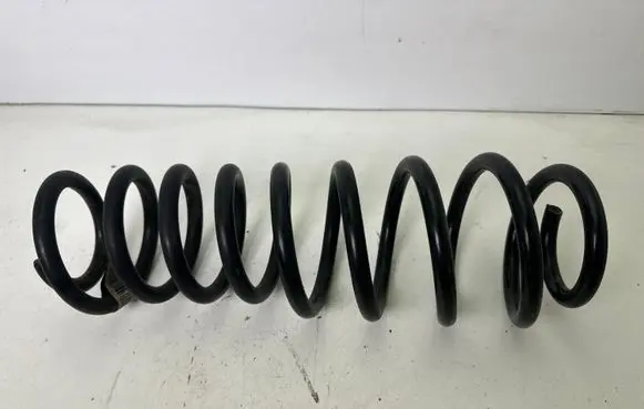 Ford Mustang V Rear coil spring BR335560AB