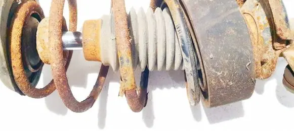 Front coil spring