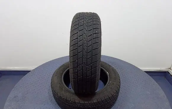 Renault Kangoo I R17 C winter tire 6970004905684