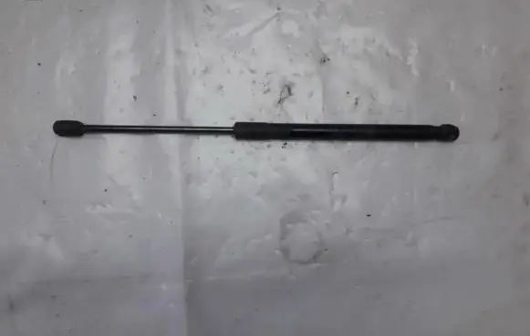 Tailgate/trunk strut/damper