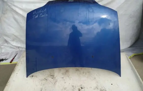 Fiat Punto (176) Engine bonnet/hood