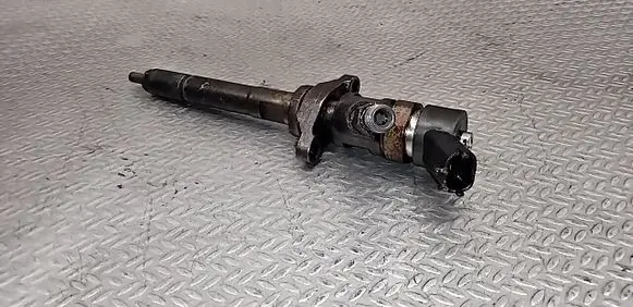 Volvo V50 Fuel injector 0445110259