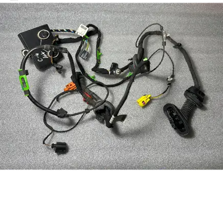 Audi A6 S6 C6 4F Front door wiring loom 4F1971029AK 4F1971029 4F0959792E