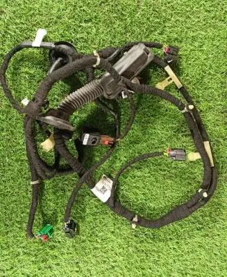 Rear door wiring loom