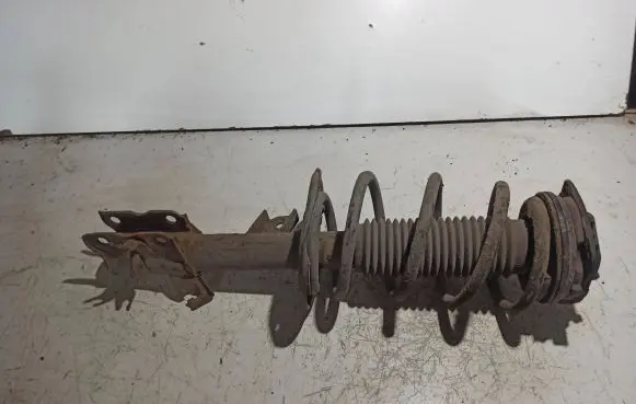 Nissan Qashqai Front shock absorber with coil spring