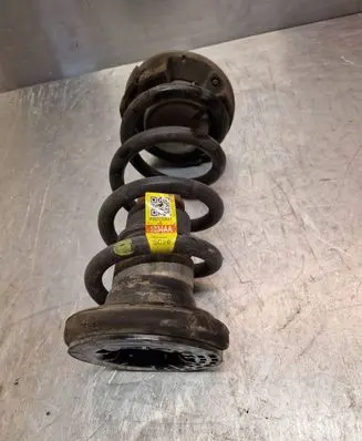 Rear coil spring