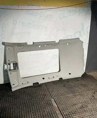 Volkswagen PASSAT B7 Headlining set 1k0857561b