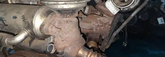 EGR valve