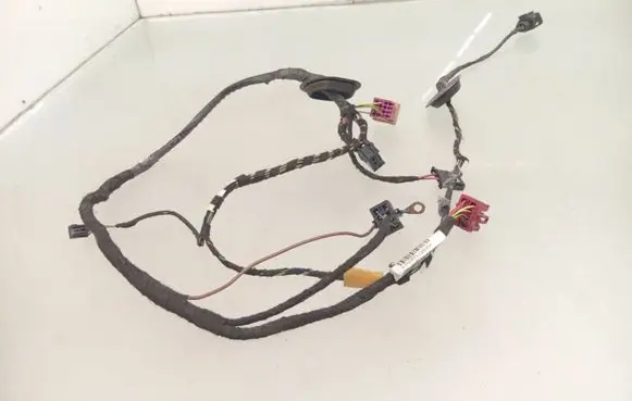 Front door wiring loom