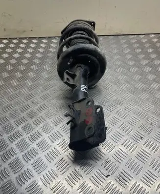 Renault Latitude (L70) Front shock absorber/damper